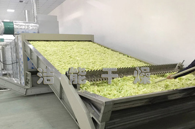 國家農業(yè)大發(fā)展,潔能果蔬烘干機前景光明