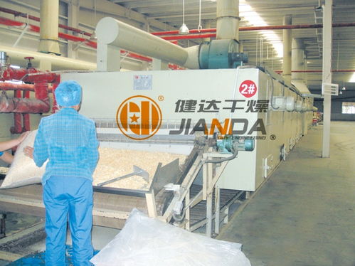 DWD系列帶式干燥機(jī)：高效果蔬烘干解決方案