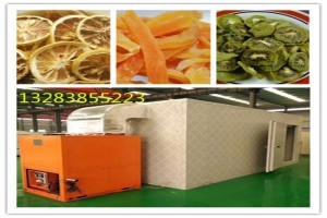 風刀式烘干機 果蔬烘干領域的專業市場新勢力